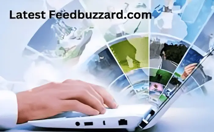 latest feedbuzzard com